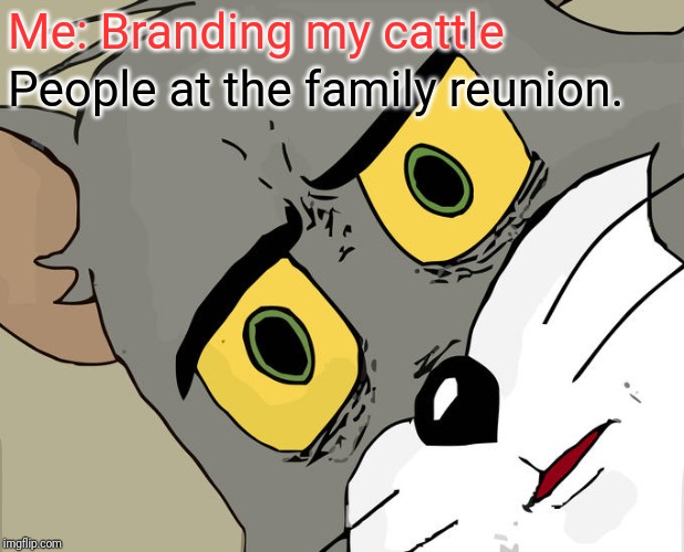Unsettled Tom Meme | Me: Branding my cattle; People at the family reunion. | image tagged in memes,unsettled tom | made w/ Imgflip meme maker