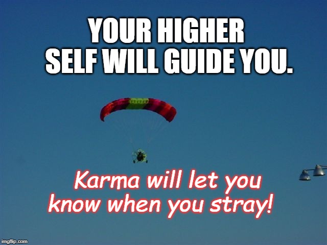 Real life | YOUR HIGHER SELF WILL GUIDE YOU. Karma will let you know when you stray! | image tagged in david | made w/ Imgflip meme maker