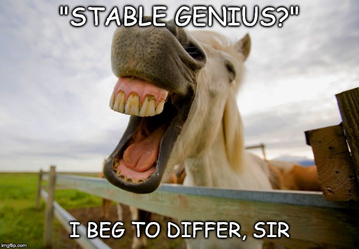 "STABLE GENIUS?"; I BEG TO DIFFER, SIR | image tagged in trump,genius,political | made w/ Imgflip meme maker