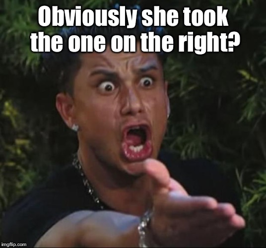 DJ Pauly D Meme | Obviously she took the one on the right? | image tagged in memes,dj pauly d | made w/ Imgflip meme maker