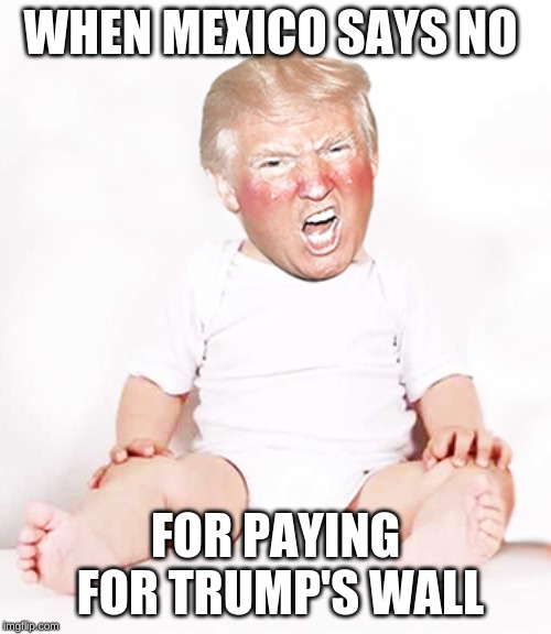 Trump Baby | WHEN MEXICO SAYS NO; FOR PAYING FOR TRUMP'S WALL | image tagged in trump baby | made w/ Imgflip meme maker