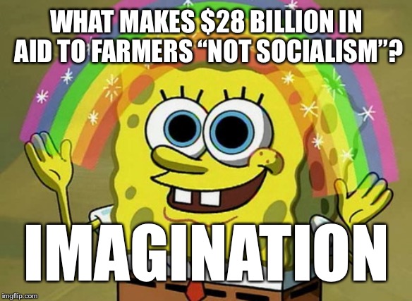Socialist Spongebob: Farm Aid | WHAT MAKES $28 BILLION IN AID TO FARMERS “NOT SOCIALISM”? IMAGINATION | image tagged in memes,imagination spongebob,socialism | made w/ Imgflip meme maker