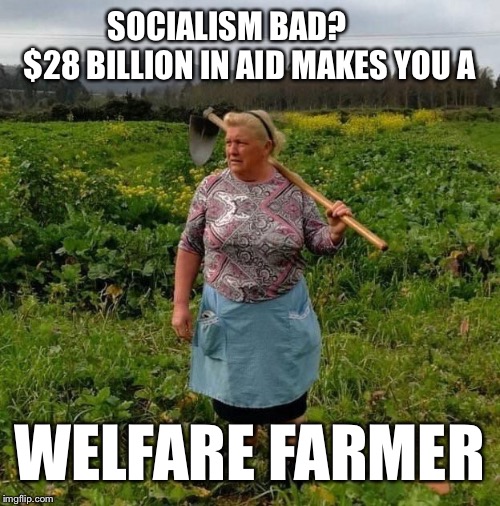 Welfare Farmer | SOCIALISM BAD?        $28 BILLION IN AID MAKES YOU A; WELFARE FARMER | image tagged in trumpotato farmer,trump,welfare,welfare surfer,farmer,trade war | made w/ Imgflip meme maker