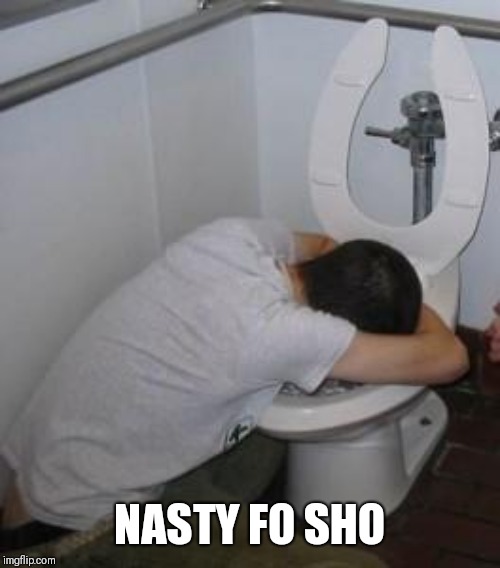 Drunk puking toilet | NASTY FO SHO | image tagged in drunk puking toilet | made w/ Imgflip meme maker