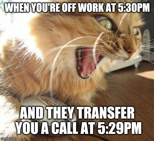 Work sucks! >:( | WHEN YOU'RE OFF WORK AT 5:30PM; AND THEY TRANSFER YOU A CALL AT 5:29PM | image tagged in angry cat,work,funny,cat,rage,memes | made w/ Imgflip meme maker