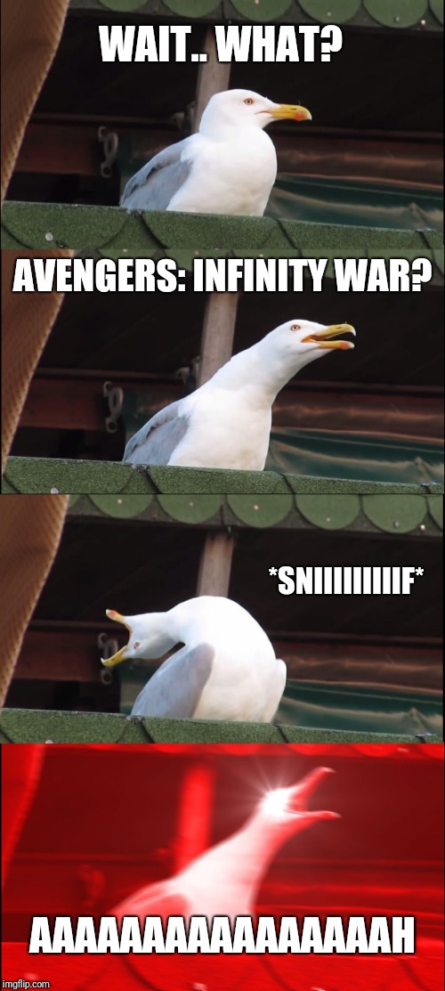 Inhaling Seagull Meme | WAIT.. WHAT? AVENGERS: INFINITY WAR? *SNIIIIIIIIIF*; AAAAAAAAAAAAAAAAH | image tagged in memes,inhaling seagull | made w/ Imgflip meme maker