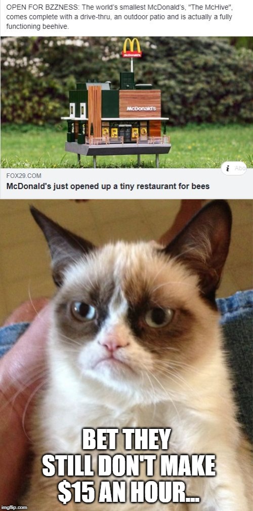 Introducing the McHive! | BET THEY STILL DON'T MAKE $15 AN HOUR... | image tagged in memes,grumpy cat | made w/ Imgflip meme maker