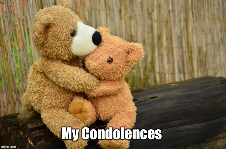 condolance caring consolation teddy bears | My Condolences | image tagged in condolance caring consolation teddy bears | made w/ Imgflip meme maker