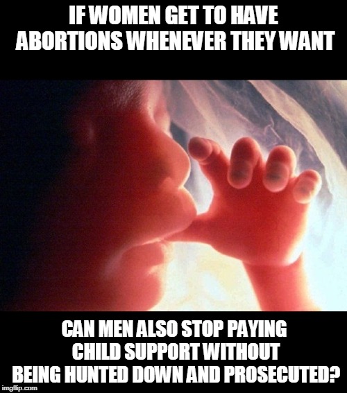 My body, their bodies, men's money... my choice |  IF WOMEN GET TO HAVE ABORTIONS WHENEVER THEY WANT; CAN MEN ALSO STOP PAYING CHILD SUPPORT WITHOUT BEING HUNTED DOWN AND PROSECUTED? | image tagged in abortion,memes,anti-feminism,pro life,double standards,child support | made w/ Imgflip meme maker