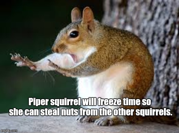 Piper Squirrel | Piper squirrel will freeze time so she can steal nuts from the other squirrels. | image tagged in memes | made w/ Imgflip meme maker