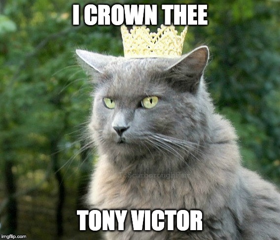 Cat with crown | I CROWN THEE; TONY VICTOR | image tagged in cat with crown | made w/ Imgflip meme maker