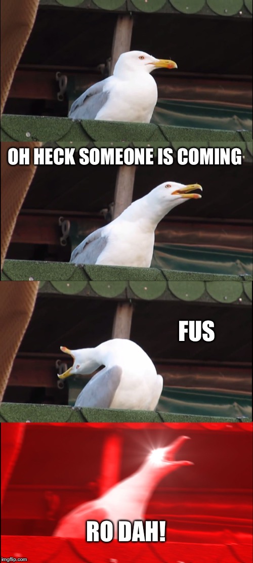 Inhaling Seagull | OH HECK SOMEONE IS COMING; FUS; RO DAH! | image tagged in memes,inhaling seagull | made w/ Imgflip meme maker