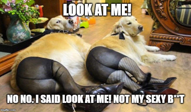 LOOK AT ME! NO NO. I SAID LOOK AT ME! NOT MY SEXY B**T | image tagged in doge | made w/ Imgflip meme maker