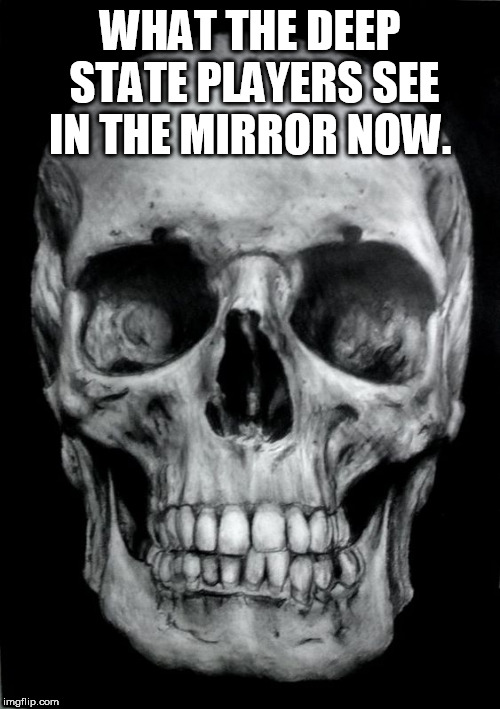 skull | WHAT THE DEEP STATE PLAYERS SEE IN THE MIRROR NOW. | image tagged in skull | made w/ Imgflip meme maker