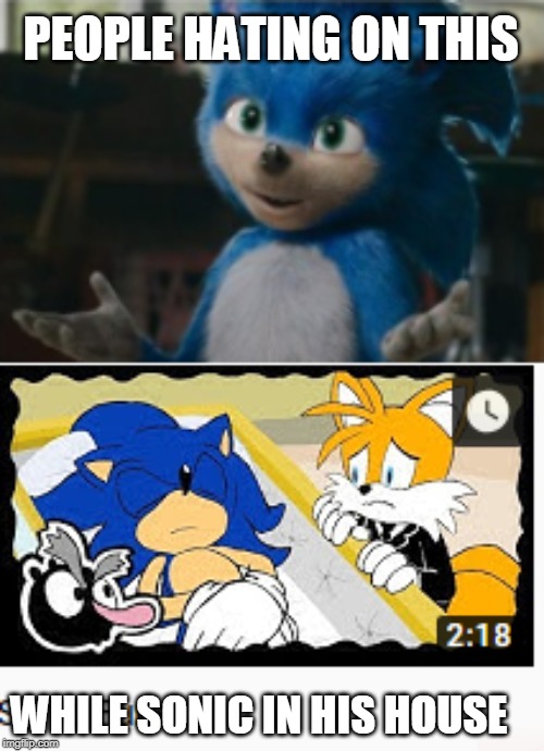 PEOPLE HATING ON THIS; WHILE SONIC IN HIS HOUSE | image tagged in ded sonic | made w/ Imgflip meme maker