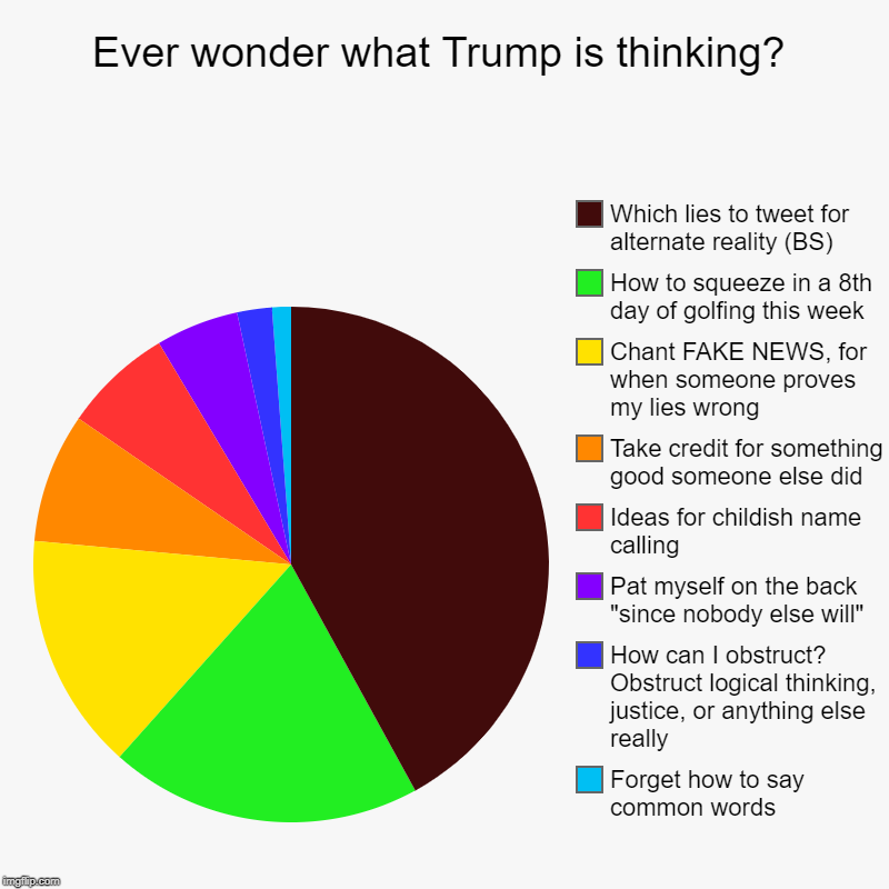 Ever wonder what Trump is thinking? | Forget how to say common words, How can I obstruct? Obstruct logical thinking, justice, or anything el | image tagged in charts,pie charts | made w/ Imgflip chart maker