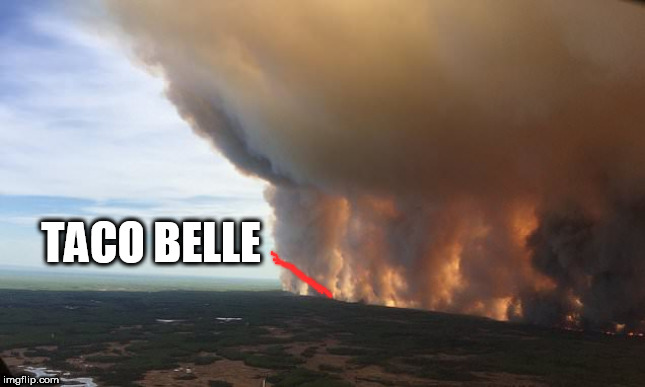 did you | TACO BELLE | image tagged in did you | made w/ Imgflip meme maker