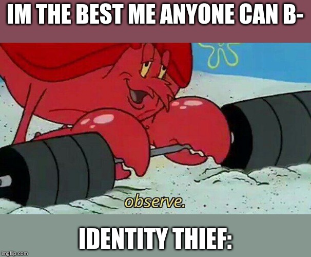 Observe | IM THE BEST ME ANYONE CAN B-; IDENTITY THIEF: | image tagged in observe | made w/ Imgflip meme maker