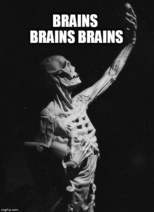Body | BRAINS BRAINS BRAINS | image tagged in body | made w/ Imgflip meme maker