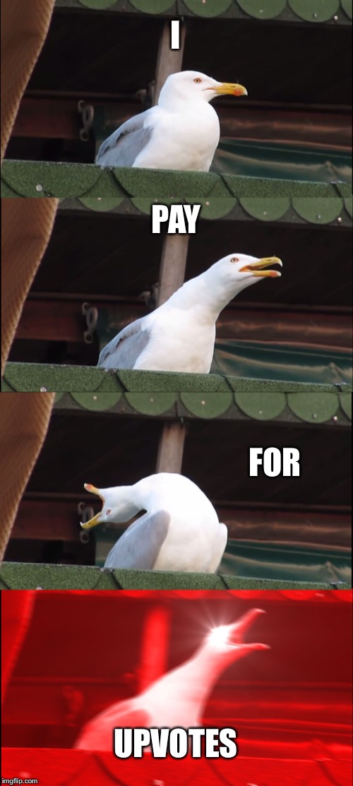 #I(don’t)payforupvotes | I; PAY; FOR; UPVOTES | image tagged in memes,inhaling seagull,funny,funny memes | made w/ Imgflip meme maker