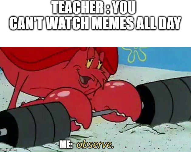 Observe | TEACHER : YOU CAN'T WATCH MEMES ALL DAY; ME: | image tagged in observe | made w/ Imgflip meme maker