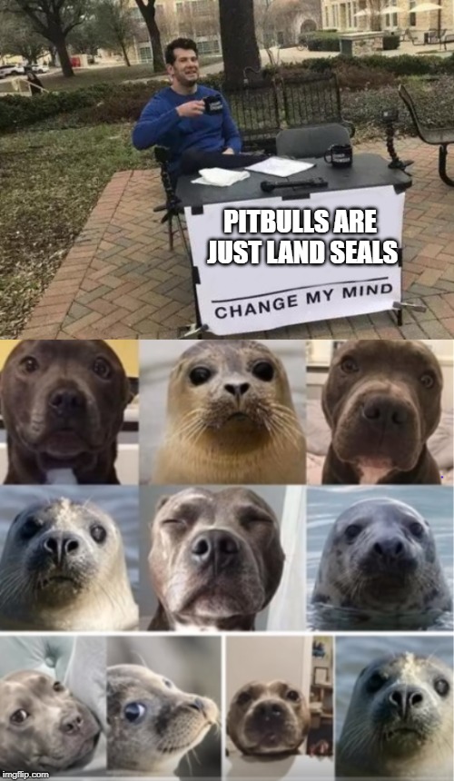 PITBULLS ARE JUST LAND SEALS | image tagged in memes,change my mind | made w/ Imgflip meme maker