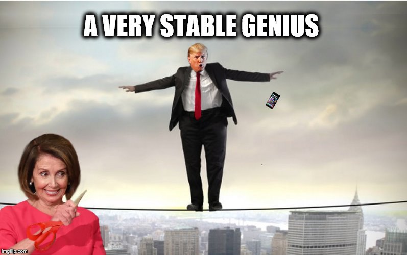 A Very Stable Genius | A VERY STABLE GENIUS | image tagged in donald trump,nancy pelosi,impeach trump,trump stable genius,trump is a moron | made w/ Imgflip meme maker