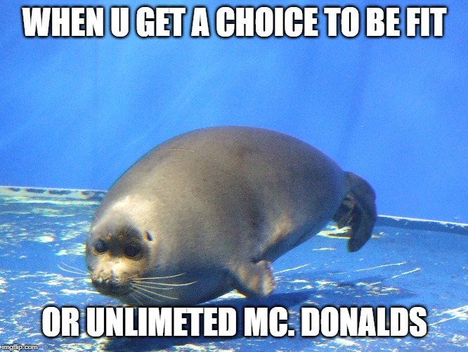 WHEN U GET A CHOICE TO BE FIT; OR UNLIMETED MC. DONALDS | image tagged in seals meams | made w/ Imgflip meme maker