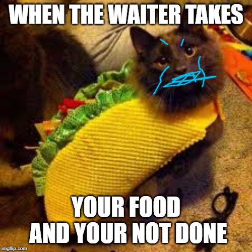 sad catto | WHEN THE WAITER TAKES; YOUR FOOD AND YOUR NOT DONE | image tagged in sad,waiter,steal,taco,cat,meme | made w/ Imgflip meme maker