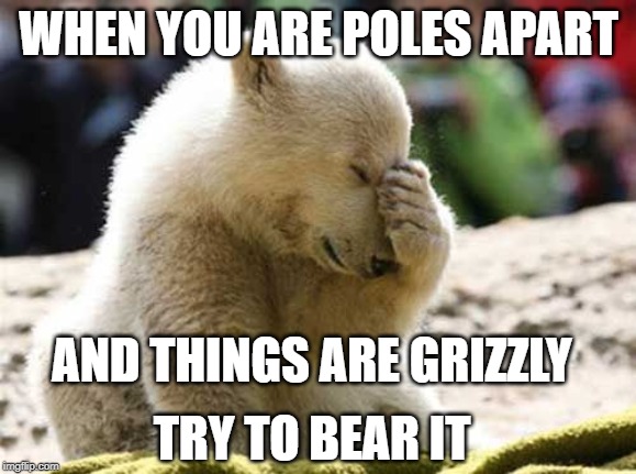 WHEN YOU ARE POLES APART; AND THINGS ARE GRIZZLY; TRY TO BEAR IT | made w/ Imgflip meme maker