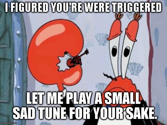 Mr krabs violin | I FIGURED YOU'RE WERE TRIGGERED LET ME PLAY A SMALL SAD TUNE FOR YOUR SAKE. | image tagged in mr krabs violin | made w/ Imgflip meme maker