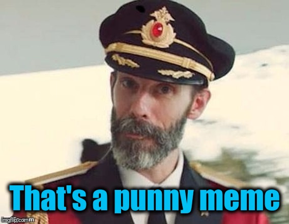 Captain Obvious | That's a punny meme | image tagged in captain obvious | made w/ Imgflip meme maker