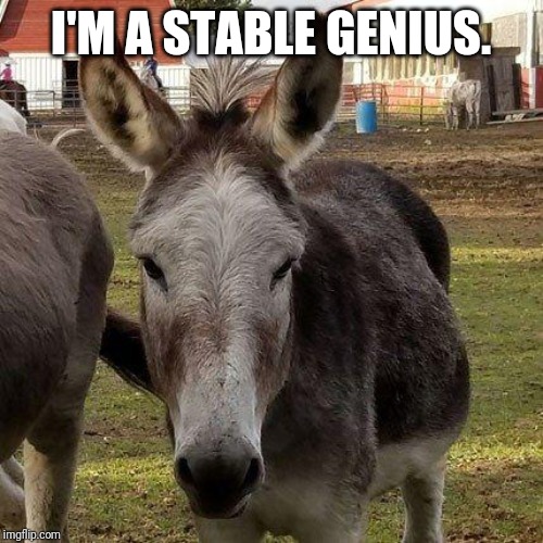 Stable Genius | I'M A STABLE GENIUS. | image tagged in donald trump | made w/ Imgflip meme maker