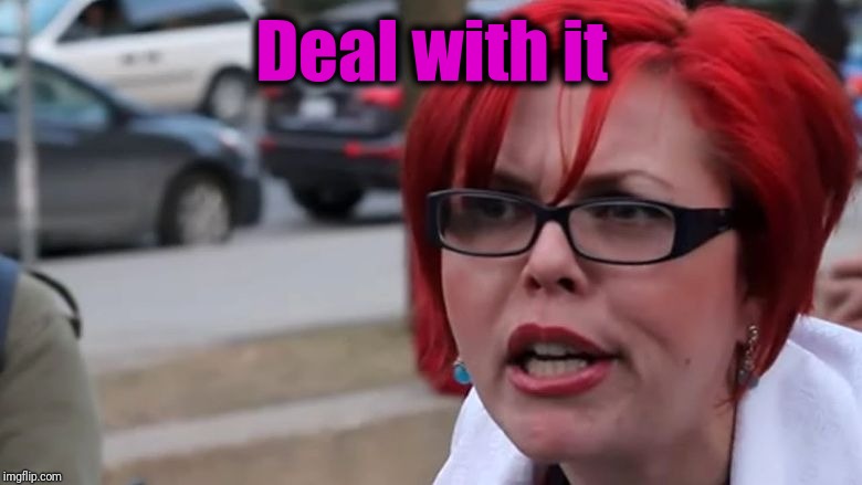  triggered | Deal with it | image tagged in triggered | made w/ Imgflip meme maker