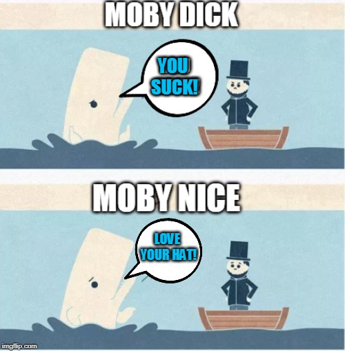 Don't Be A Dick |  YOU SUCK! LOVE YOUR HAT! | image tagged in moby,dick | made w/ Imgflip meme maker