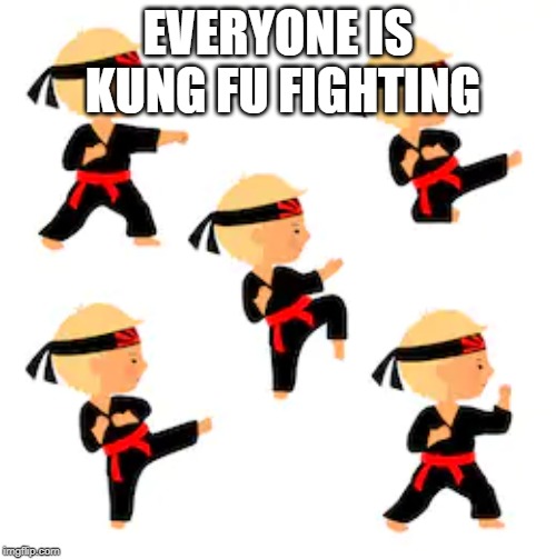  EVERYONE IS KUNG FU FIGHTING | image tagged in fighting | made w/ Imgflip meme maker