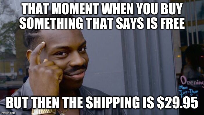 Roll Safe Think About It | THAT MOMENT WHEN YOU BUY SOMETHING THAT SAYS IS FREE; BUT THEN THE SHIPPING IS $29.95 | image tagged in memes,roll safe think about it | made w/ Imgflip meme maker