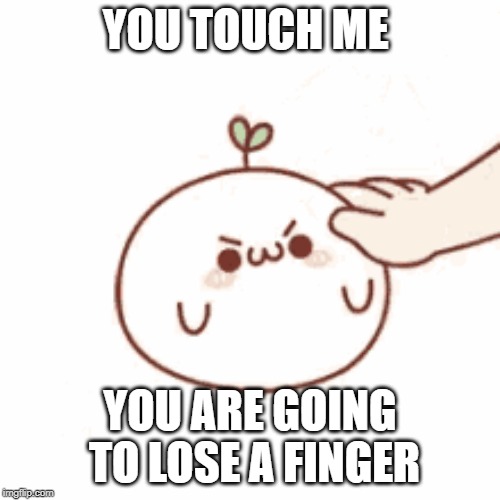 YOU TOUCH ME; YOU ARE GOING TO LOSE A FINGER | image tagged in angry face | made w/ Imgflip meme maker