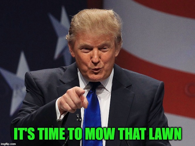 IT'S TIME TO MOW THAT LAWN | made w/ Imgflip meme maker