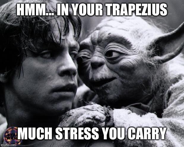 Yoda & Luke | HMM... IN YOUR TRAPEZIUS; MUCH STRESS YOU CARRY | image tagged in yoda  luke | made w/ Imgflip meme maker
