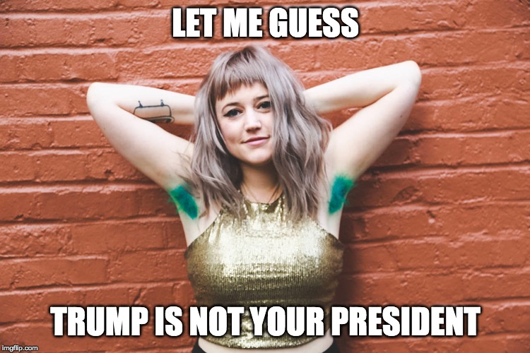 Those armpits give me the willies | LET ME GUESS; TRUMP IS NOT YOUR PRESIDENT | image tagged in funny,memes,politics | made w/ Imgflip meme maker