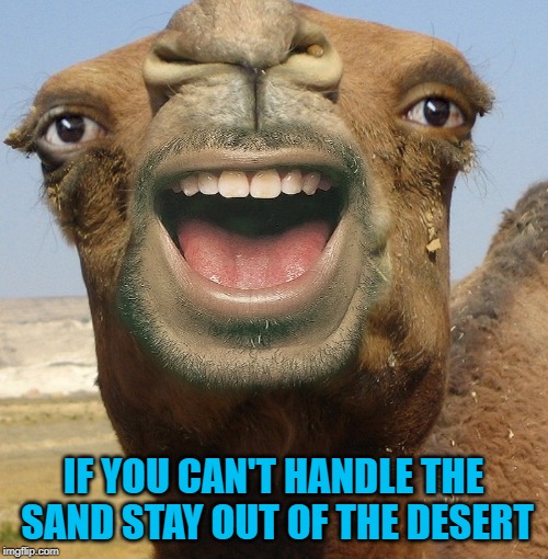 IF YOU CAN'T HANDLE THE SAND STAY OUT OF THE DESERT | made w/ Imgflip meme maker