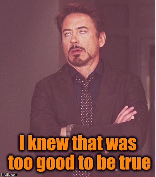 Face You Make Robert Downey Jr Meme | I knew that was too good to be true | image tagged in memes,face you make robert downey jr | made w/ Imgflip meme maker