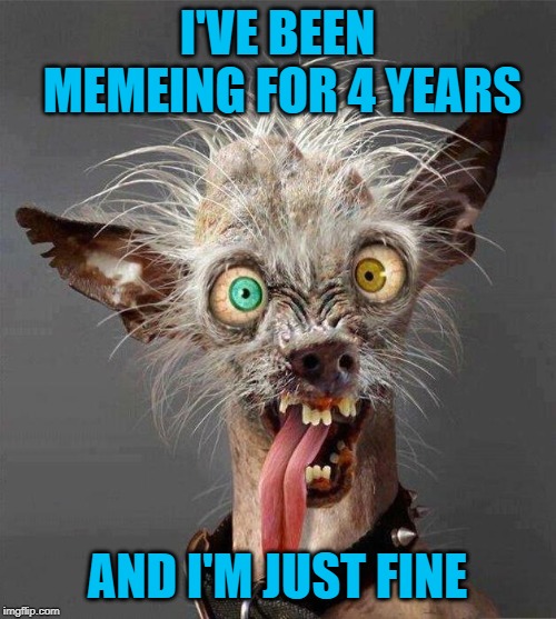 I'VE BEEN MEMEING FOR 4 YEARS AND I'M JUST FINE | made w/ Imgflip meme maker