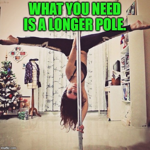 Pole Dance | WHAT YOU NEED IS A LONGER POLE. | image tagged in pole dance | made w/ Imgflip meme maker