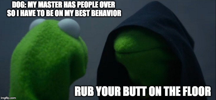 Evil Kermit Meme | DOG: MY MASTER HAS PEOPLE OVER SO I HAVE TO BE ON MY BEST BEHAVIOR; RUB YOUR BUTT ON THE FLOOR | image tagged in memes,evil kermit | made w/ Imgflip meme maker