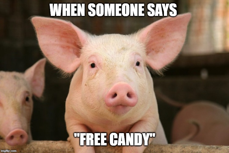 WHEN SOMEONE SAYS; "FREE CANDY" | image tagged in mlg,funny memes | made w/ Imgflip meme maker
