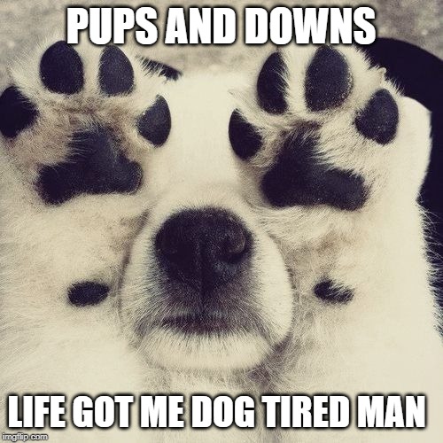 PUPS AND DOWNS LIFE GOT ME DOG TIRED MAN | made w/ Imgflip meme maker