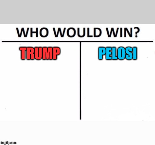 Which one will ride the farthest on the crazy train | TRUMP; PELOSI | image tagged in memes,who would win | made w/ Imgflip meme maker