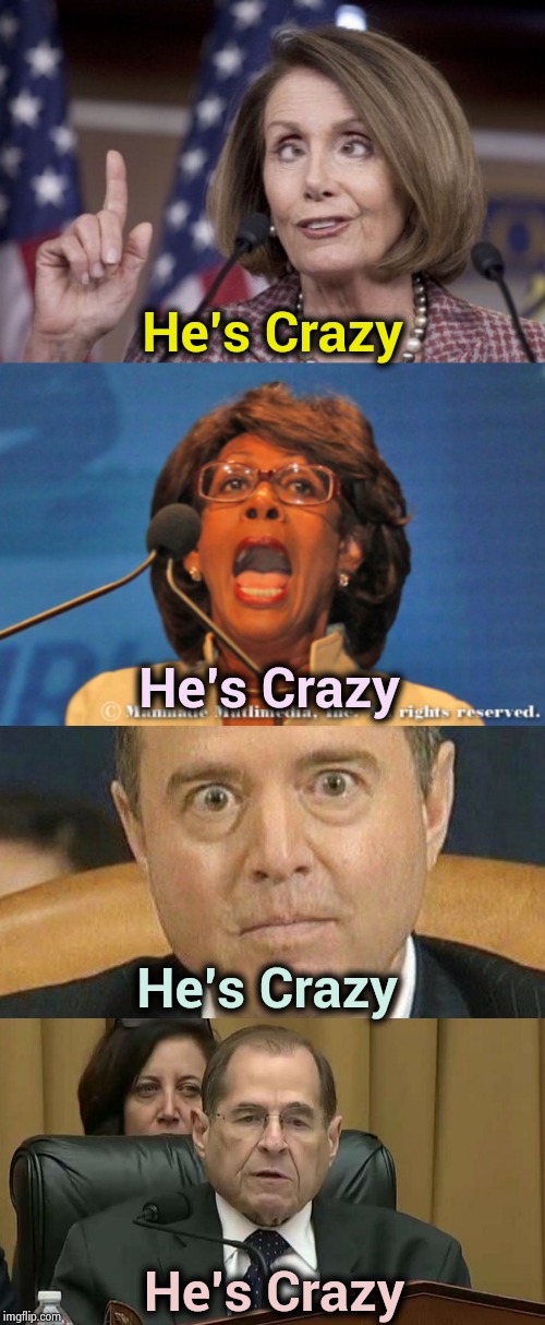 The next futile attempt , crazy people calling him crazy | He's Crazy; He's Crazy; He's Crazy; He's Crazy | image tagged in maxine waters,nancy pelosi,adam schiff weird eyes,rep jerry nadler,insanity,trump derangement syndrome | made w/ Imgflip meme maker